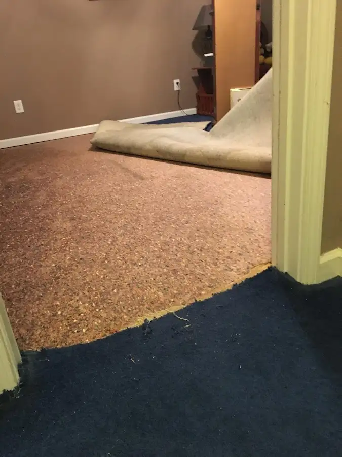 Carpet pad removal revealing water damage during Water Mitigation Services in Dedham