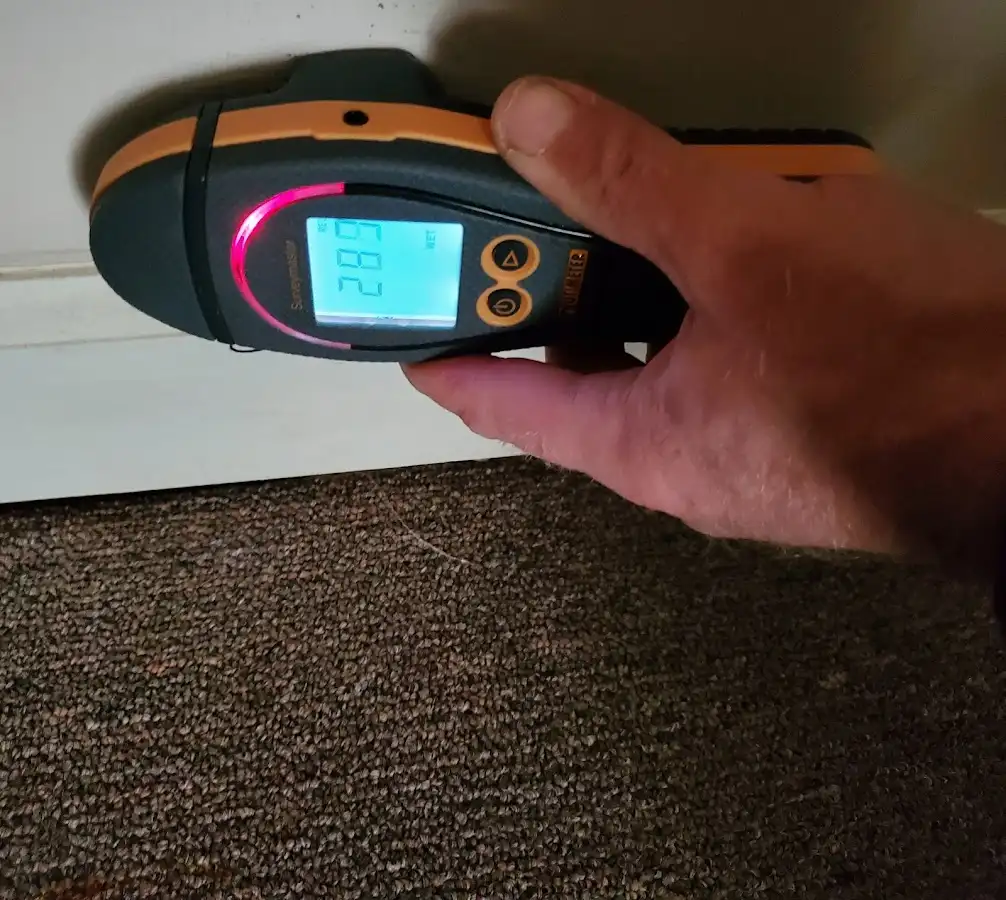 Moisture detection at baseboard during Sewage Cleanup & Sanitation in Dedham